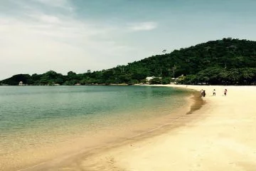 Kep-3