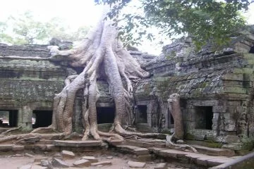 Temple-Ta-Prohm